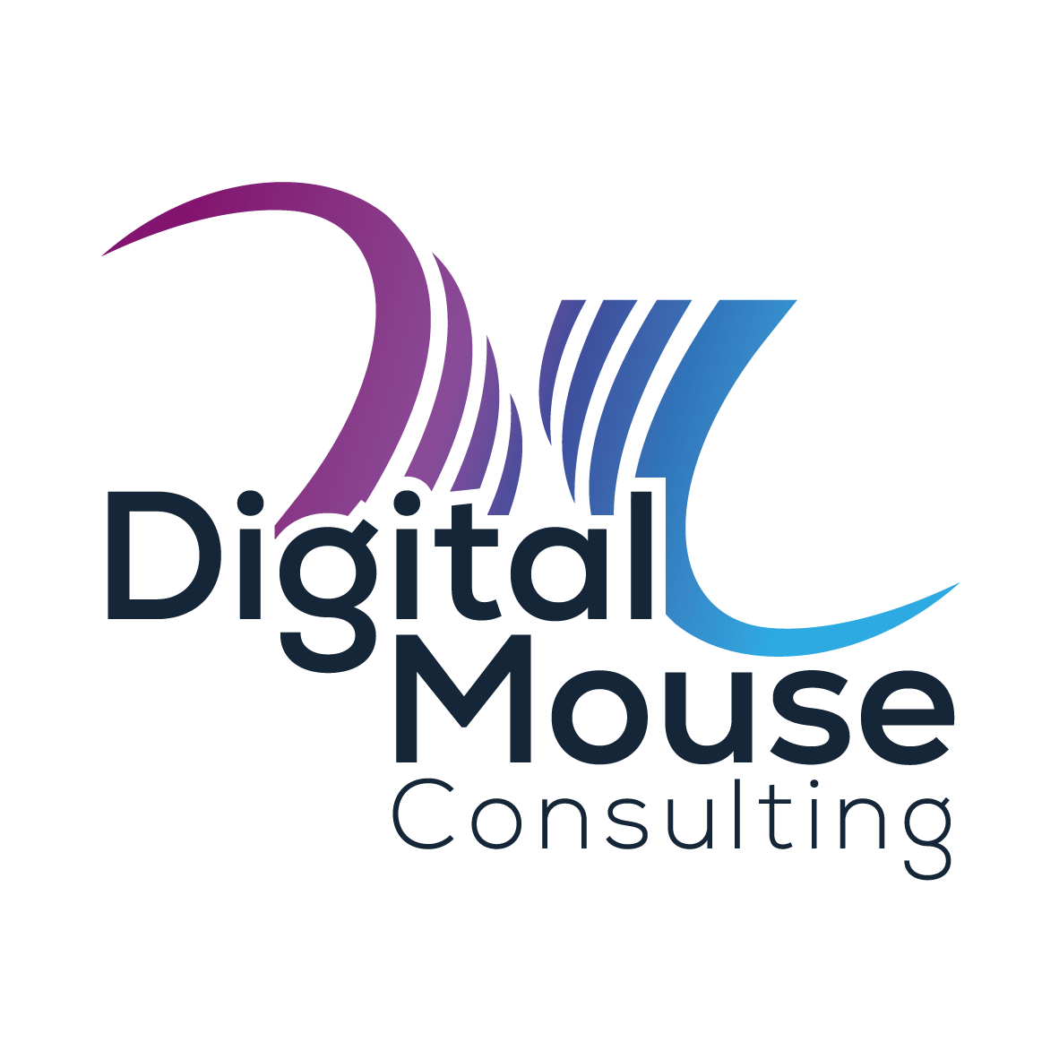 Digital Mouse Consulting